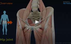 Femoroacetabular Impingement