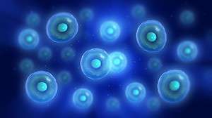 Stem Cell Therapy